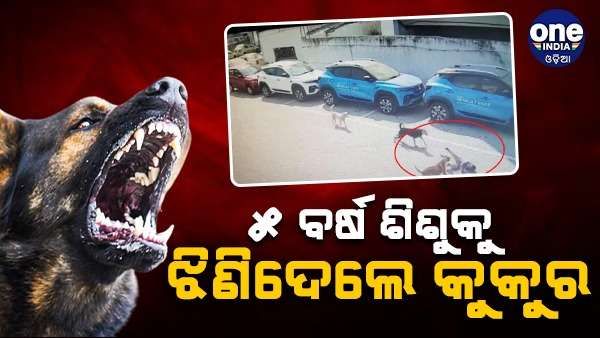 5 ବର୍ଷର ଶିଶୁକୁ ଝିଣିନେଲେ କୁକୁର, ଚାଲିଗଲା ଜୀବନ