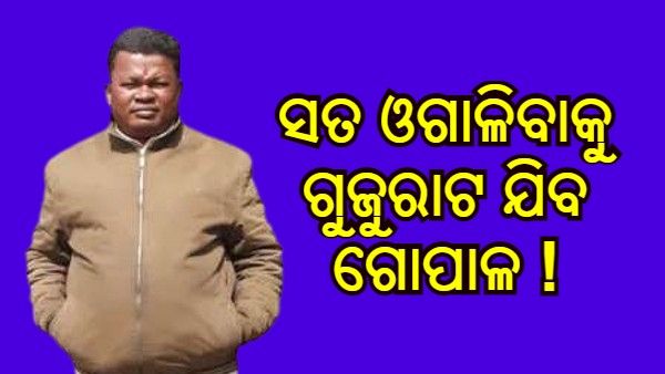 ନବ ଦାସ ହତ୍ୟାକାଣ୍ଡ: ସତ ଓଗାଳିବାକୁ ଗୁଜୁରାଟ ଯିବ ଗୋପାଳ !
