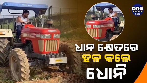 ଟ୍ରାକ୍ଟରରେ ହଳ କଲେ ଧୋନି, ଇନଷ୍ଟାଗ୍ରାମରେ ଭିଡିଓ କଲେ ସେୟାର...