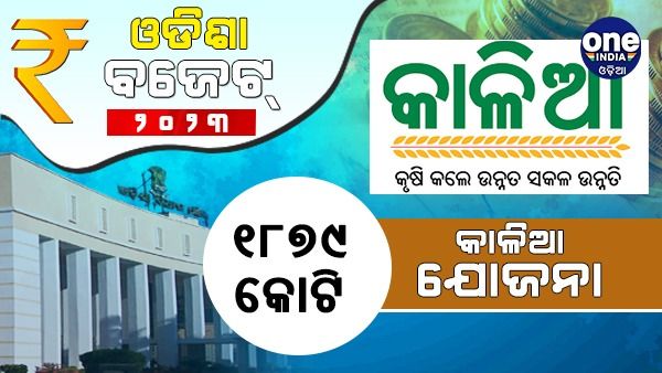 ଓଡିଶା ବଜେଟ୍: ଚଳିତ ବର୍ଷ କାଳିଆ ଯୋଜନା ପାଇଁ ୧୮ ଶହ ୭୯ କୋଟି ଟଙ୍କା ବ୍ୟୟବରାଦ