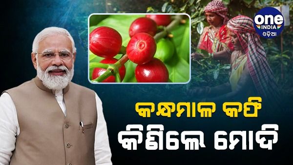 କନ୍ଧମାଳ କଫି ଓ ହଳଦୀ କିଣିଲେ ମୋଦି, ଆଦିବାସୀ ମହୋତ୍ସବରେ ଚାଷୀଙ୍କ ସହ କଲେ ଆଲୋଚନା