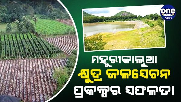 ମହୁରୀକାଲୁଆ କ୍ଷୁଦ୍ର ଜଳସେଚନ ପ୍ରକଳ୍ପ ଅନ୍ତର୍ଗତ ପାଣି ପଞ୍ଚାୟତର ସଫଳତା