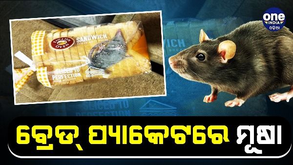 ବ୍ରେଡ୍ ପ୍ୟାକେଟରେ ଜୀଅନ୍ତା ମୂଷା: ଟାର୍ଗେଟରେ ବ୍ଲିଙ୍କିଟ୍