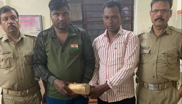 ରାଜଧାନୀରୁ ହାତୀ ଦାନ୍ତ ଜବତ:୨ ଗିରଫ