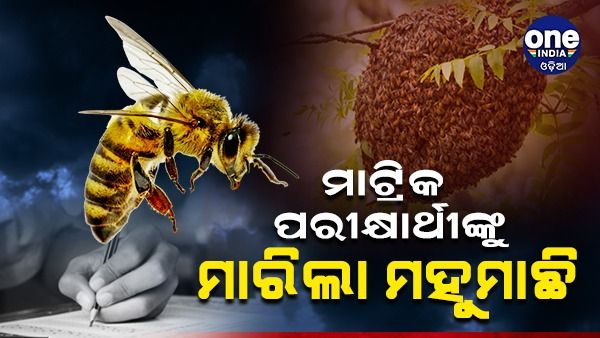 ମାଟ୍ରିକ ପରୀକ୍ଷାର୍ଥୀଙ୍କୁ ମାରିଲା ମହୁମାଛି: ୧୦ରୁ ଅଧିକ ଆହତ, ଶିକ୍ଷକ ଗୁରୁତର