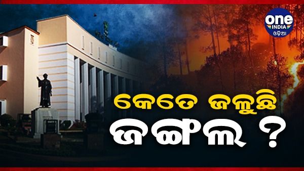 ରାଜ୍ୟରେ ଜଳୁଛି କେତେ ଜଙ୍ଗଲ ? କେତେ ଲିଭିଛି ?: ଜାଣନ୍ତୁ, ଜଙ୍ଗଲ ନିଆଁକୁ ନେଇ କ’ଣ କହିଲେ ଜଙ୍ଗଲ ଓ ପରିବେଶ ମନ୍ତ୍ରୀ...