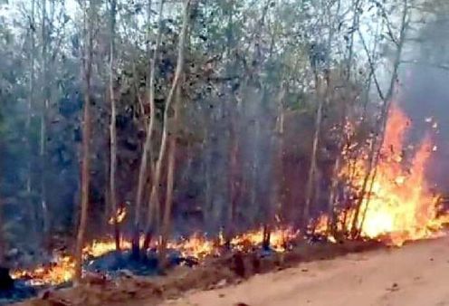 ବନାଗ୍ନି ରୋକିବାକୁ ବ୍ୟାପକ ପ୍ରସ୍ତୁତି: କ୍ଷେତ୍ରସ୍ତରୀୟ ଅଧିକାରୀଙ୍କ ଦକ୍ଷତା ବୃଦ୍ଧି ସହ ସାମିଲ ହେବେ ବିଭିନ୍ନ ବର୍ଗ