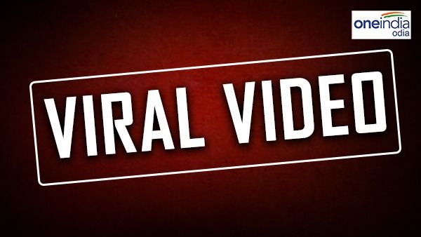 ହାତୀ ଖେଳୁଛି କ୍ରିକେଟ୍-ଫୁଟବଲ୍, ଭାଇରାଲ ଭିଡିଓ ଜିଣୁଛି ଲୋକଙ୍କ ମନ