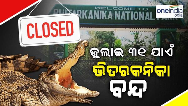 ବଉଳା କୁମ୍ଭୀରଙ୍କ ପ୍ରଜନନ ପାଇଁ ଜୁଲାଇ ୩୧ ପର୍ଯ୍ୟନ୍ତ ବନ୍ଦ ରହିବ ଭିତରକନିକା