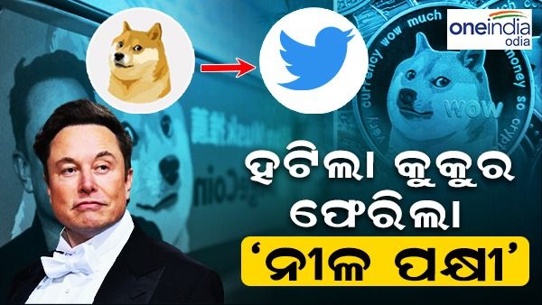 ଟ୍ୱିଟରକୁ ଫେରିଲା ‘ନୀଳ ପକ୍ଷୀ’, ହଟିଲା କୁକୁର
