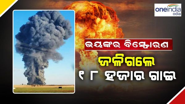 ଭୟଙ୍କର ବିସ୍ଫୋରଣ: ଜଳିଗଲେ ୧୮ ହଜାର ଗାଈ