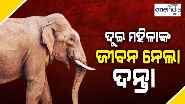 ହାତୀ ଆକ୍ରମଣରେ ଗଲା ୨ ମହିଳାଙ୍କ ମୃତ୍ୟୁ