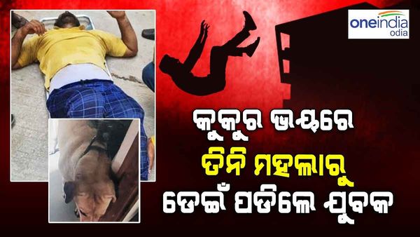 କୁକୁର ଆକ୍ରମଣ ଭୟରେ ତିନି ମହଲା ଉପରୁ ଡେଇଁ ପଡ଼ିଲେ ଡେଲିଭରୀ ଏଜେଣ୍ଟ