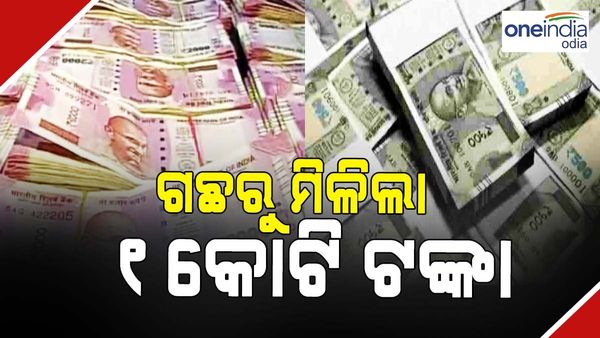 ଗଛ ଉପରେ ହେଲା ଆଇଟି ରେଡ୍, ମିଳିଲା କୋଟିଏରୁ ଅଧିକ ଟଙ୍କା