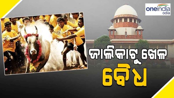 ଜାଲିକାଟୁ ପରମ୍ପରା ବୈଧ, ଏହା ଉପରେ ରୋକ ଲଗାଇବାକୁ ମନା କଲେ ସୁପ୍ରିମ କୋର୍ଟ