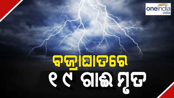 ବଜ୍ରପାତ ନେଲା ୧୯ ଗାଈଙ୍କ ଜୀବନ, ପ୍ରତି ଗାଈ ପିଛା ମିଳିବ ୩୭ ହଜାର ୫୦୦ ଟଙ୍କା