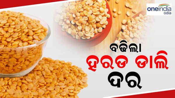 ବଢିଲା ହରଡ଼ ଡାଲି ଦର, କ୍ଵିଣ୍ଟାଲ ପିଛା ୫୦୦ ଟଙ୍କା ବୃଦ୍ଧି