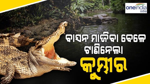 ନାଳରେ ବାସନ ମାଜୁଥିଲେ ମହିଳା, ଟାଣି ନେଲା କୁମ୍ଭୀର