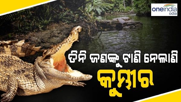 ବ୍ରାହ୍ମଣୀ ନଦୀରେ କୁମ୍ଭୀର ଆତଙ୍କ, 16 ଦିନରେ ତିନି ଜଣଙ୍କୁ ଟାଣି ନେଲାଣି କୁମ୍ଭୀର