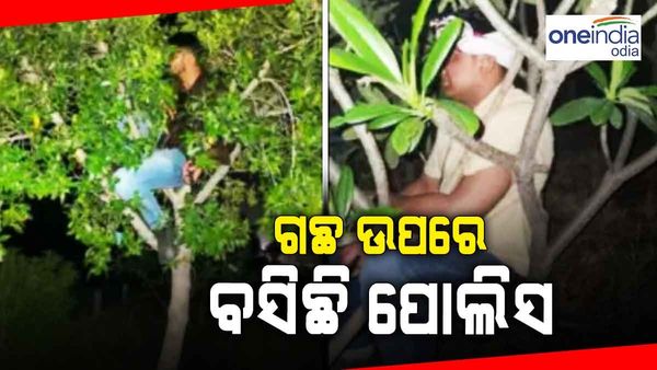 ଏଠି ଗଛ ଉପରେ କାହିଁକି ଲୁଚି ବସିଛି ପୋଲିସ ?