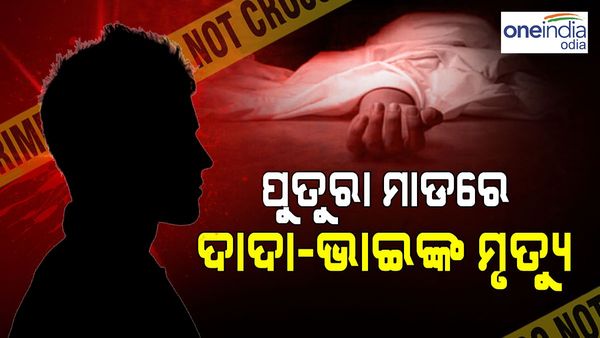 ପୁତୁରା ମାଡ଼ରେ ଦାଦା-ଭାଇଙ୍କ ମୃତ୍ୟୁ, ଜଣେ ଆହତ