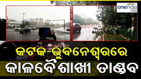 ଟ୍ବିନସିଟିରେ କାଳବୈଶାଖୀ ତାଣ୍ଡବ, ଭାଙ୍ଗିଲା ଗଛ