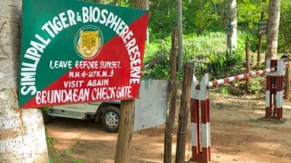 ଶିକାରୀ ଗୁଳିରେ ଚାଲିଗଲା ଆଉ ଜଣେ ବନ କର୍ମଚାରୀଙ୍କ ଜୀବନ