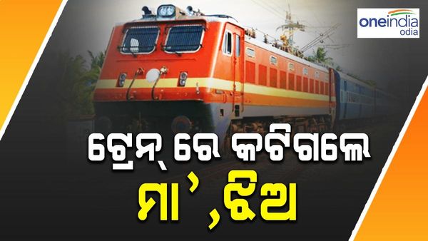 ଟ୍ରେନ୍ ଚକା ତଳେ ଚାଲିଗଲା ମା', ଝିଅଙ୍କ ଜୀବନ, ମୃତ୍ୟୁ ସହ ସଂଘର୍ଷ କରୁଛି ପୁଅ