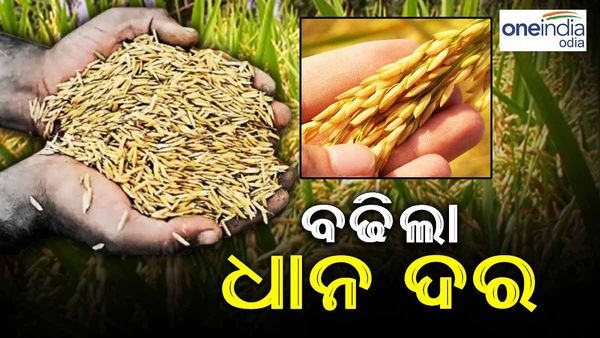 ଚାଷୀଙ୍କୁ କେନ୍ଦ୍ରର ଉପହାର: ବଢିଲା ଧାନର ଏମଏସପି ମୂଲ୍ୟ