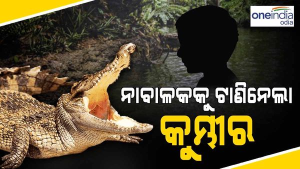 ବ୍ରାହ୍ମଣୀ ନଦୀରେ ନାବାଳକକୁ ଟାଣିନେଲା କୁମ୍ଭୀର