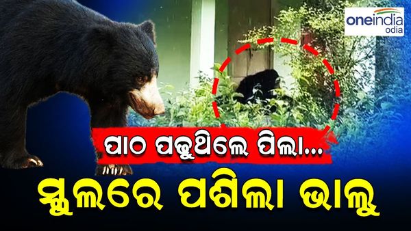 ପାଠ ପଢୁଥିଲେ ପିଲା... ସ୍କୁଲରେ ପଶିଲା ଭାଲୁ