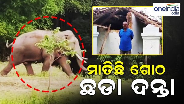 ମାତିଛି ଗୋଠ ଛଡ଼ା ଦନ୍ତା, ମରୁ ମରୁ ବଞ୍ଚିଗଲେ ...