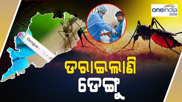 ଡରାଇଲାଣି ଡେଙ୍ଗୁ: ଚିହ୍ନଟ ହେଲେଣି ୧୮୫ ଆକ୍ରାନ୍ତ