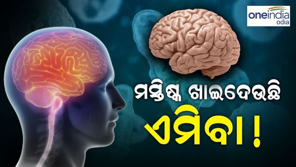 ଗାଧୋଇବା ବେଳେ ନାକ ବାଟେ ପଶି ମସ୍ତିଷ୍କ ଖାଇଗଲା ଏମିବା, 15 ବର୍ଷର ବାଳକର ମୃତ୍ୟୁ... ଜାଣନ୍ତୁ ଏହା କଣ...