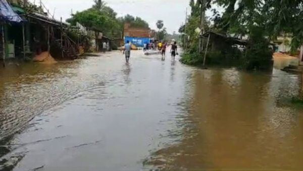 ମାଛଗାଁ କେନାଲରେ ୩୦ ଫୁଟର ଘାଇ