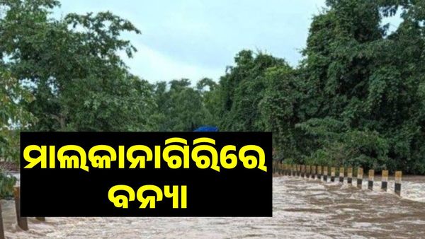 Malkangiri Flood News : ମାଲକାନାଗିରିରେ ବନ୍ୟା ପରିସ୍ଥିତି, ଜଣଙ୍କର ମୃତ୍ୟୁ