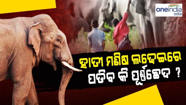 ବନ ବିଭାଗ ଆପଣେଇଲା ଫର୍ମୁଲା; ହାତୀ-ମଣିଷ ଲଢ଼େଇରେ ହେବ ଅନ୍ତ !