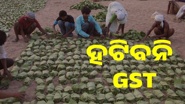 କେନ୍ଦୁପତ୍ର ଉପରେ GST : ଚିଠି ଲେଖିଥିଲେ ନବୀନ, ମନା କରିଦେଲା କେନ୍ଦ୍ର