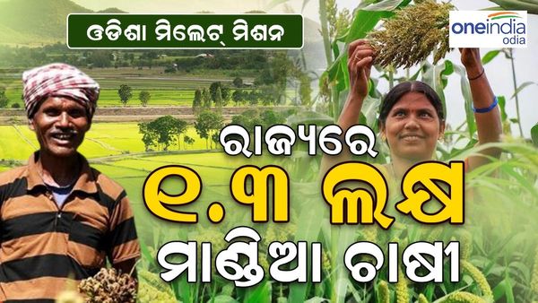 ସଫଳତା ପଥରେ ଓଡ଼ିଶା ମିଲେଟ ମିଶନ; କୃଷିର ବିକାଶରେ ନେଉଛି ଅଗ୍ରଣୀ ଭୂମିକା