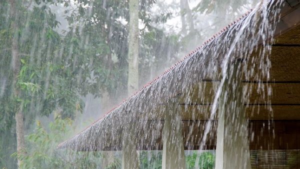 ସକ୍ରିୟ ହୋଇଛି ମୌସୁମୀ, ଆସନ୍ତା କାଲି 12 ଜିଲ୍ଲାରେ ପ୍ରବଳ ବର୍ଷିବ