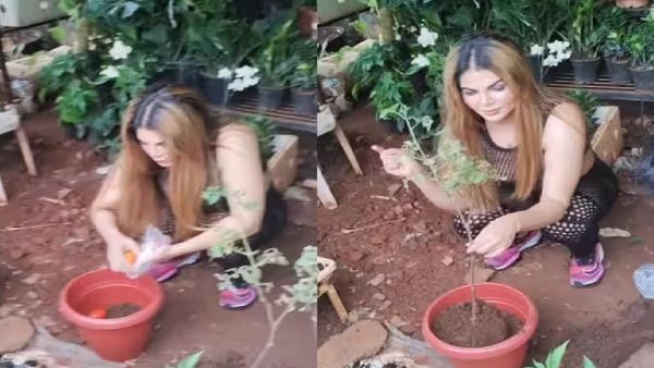 ମହଙ୍ଗା ହେଲା ଟମାଟୋ,ଗଛ ଲଗାଇଲେ ଅଭିନେତ୍ରୀ ରାକ୍ଷୀ ସାୱନ୍ତ