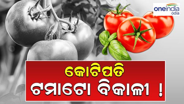 ଟମାଟୋ ବିକି ଏକ ମାସରେ କୋଟିପତି ହେଲେ ଚାଷୀ, ଗୋଟିଏ ଦିନରେ 18 ଲକ୍ଷ ରୋଜଗାର !