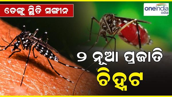 Dengue: ରାଜ୍ୟରେ ସଙ୍ଗୀନ ହେଉଛି ଡେଙ୍ଗୁ ସ୍ଥିତି, ଚିହ୍ନଟ ହେଲା 2 ନୂଆ ପ୍ରକାର ଭୂତାଣୁ