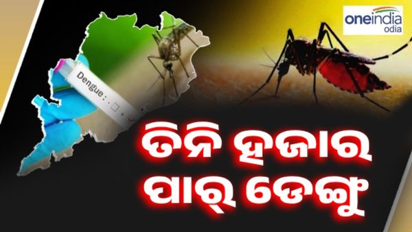 Dengue: ରାଜ୍ୟରେ 3 ହଜାର ପାର୍ ଡେଙ୍ଗୁ ରୋଗୀ, ଖୋର୍ଦ୍ଧା ଜିଲ୍ଲା ହଟସ୍ପଟ୍