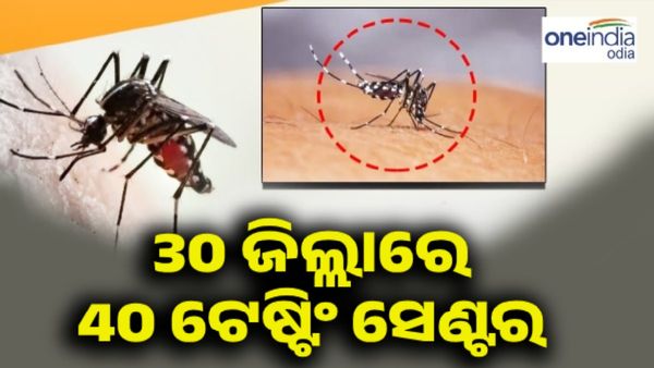Dengue: ଆତଙ୍କ ରଚିଛି ଡେଙ୍ଗୁ, 30 ଜିଲ୍ଲାର 40ଟି ପରୀକ୍ଷା କେନ୍ଦ୍ରରେ ହେବ ଟେଷ୍ଟିଂ
