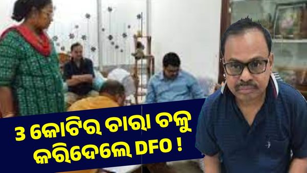 Vigilance Raid: 3 କୋଟିର ଚାରା ଚଳୁ କରିଦେଲେ DFO !
