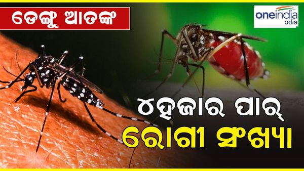 ଥମୁନି ଡେଙ୍ଗୁ ଆତଙ୍କ, ରାଜଧାନୀରେ ଆଉ 86 ରୋଗୀ ଚିହ୍ନଟ