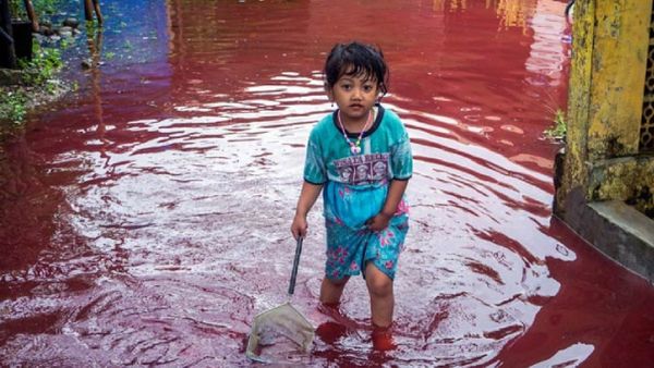 ଭାରତର ଏହି ରାଜ୍ୟରେ ହୋଇଥିଲା ରକ୍ତ ବର୍ଷା, ଜାଣନ୍ତୁ କାରଣ