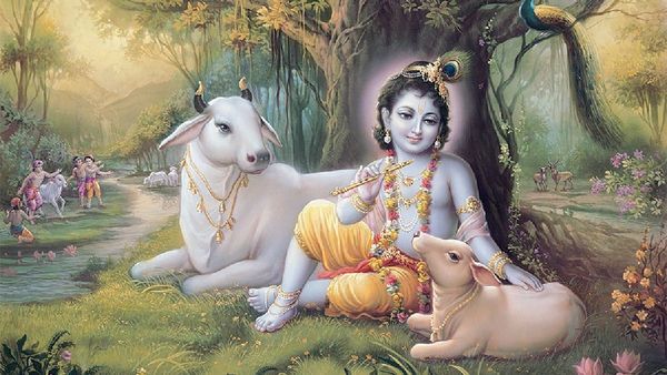 ଶ୍ରୀକୃଷ୍ଣ ଭକ୍ତଙ୍କୁ ଶନି ଦିଅନ୍ତି ନାହିଁ ଦୁଃଖ, ଜାଣନ୍ତୁ କାରଣ