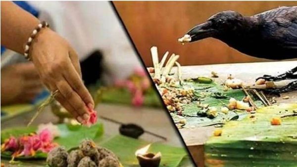 ପିତୃପକ୍ଷ 2023: ସେପ୍ଟେମ୍ବର ୨୯ରୁ ଆରମ୍ଭ ହେବ ପିତୃପକ୍ଷ, ସାରିନିଅନ୍ତୁ ଏହି ସବୁ କାର୍ଯ୍ୟ
